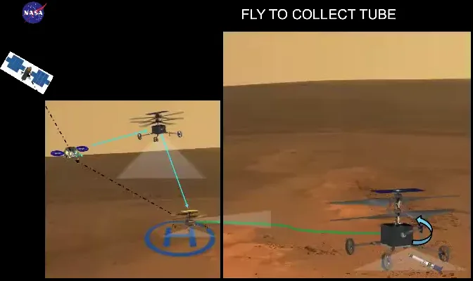 Top Apps For Identifying Local Flora And Fauna