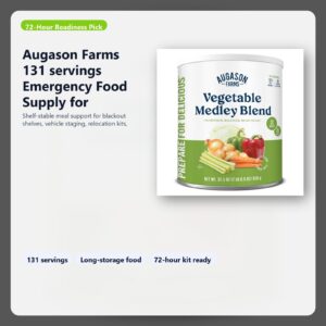 emergency food supply for 72 hour preparedness and blackout shelves hero image