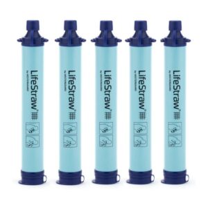 LifeStraw Water Filter for emergency preparedness kit