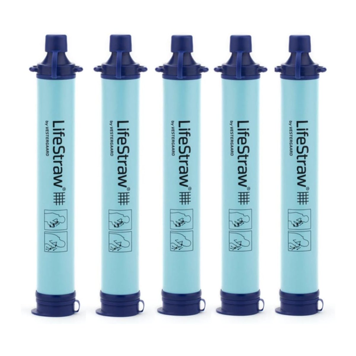 LifeStraw Water Filter for emergency preparedness kit