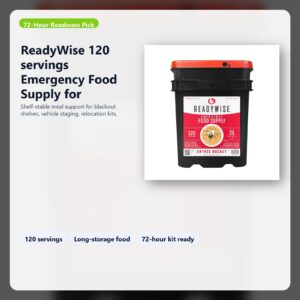 emergency food supply for 72 hour preparedness and blackout shelves hero image