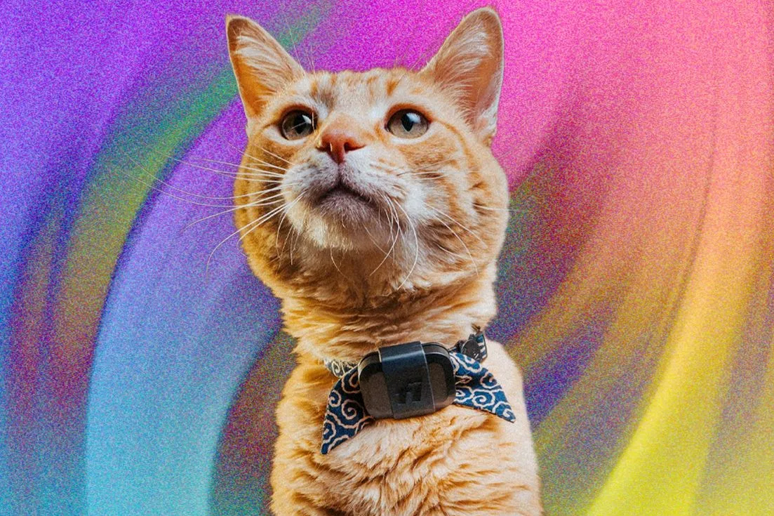 Portable Power Priorities as Fire, Flood, and Marine Warnings Stack Up